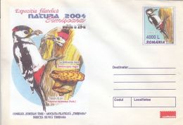 56749- BIRDS, GREAT SPOTTED WOODPECKER, COVER STATIONERY, 2004, ROMANIA - Piciformes (pájaros Carpinteros)