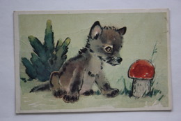 WoLF AND LITTLE RED RIDING HOOD -  Mushroom - Old Postcard - - Champignon 1970 - Pilze