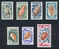 Yvert 162/7 + A.18, Sea Shells, Complete Set Of 7 Values, Superb! - Other & Unclassified