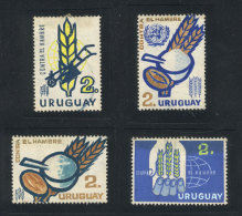 Sc.700/701, 1963 Fight Against Hunger, 4 Unadopted Artist Designs By Angel Medina M., Size Approx. 32 X 44 Mm,... - Uruguay