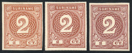 Sc.18, 1890 2c., 3 TRIAL COLOR PROOFS (different Shades), Imperforate, Excellent Quality, Rare! - Suriname