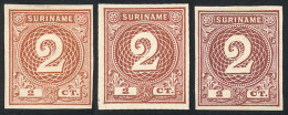 Sc.18, 1890 2c., 3 TRIAL COLOR PROOFS (different Shades), Imperforate, Excellent Quality, Rare! - Surinam