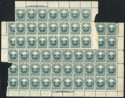 Sc.25, In Blocks Of 50 (1 Torn) And 21 Stamps, MNH, VF! - Peru