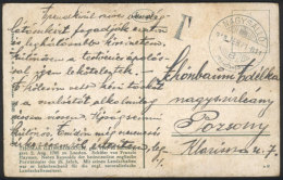 PC Posted On 21/FE/1919 With No Postage And Postage Due Mark, Interesting! - Andere & Zonder Classificatie