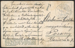 PC Posted On 21/FE/1919 With No Postage And Postage Due Mark, Interesting! - Sonstige & Ohne Zuordnung