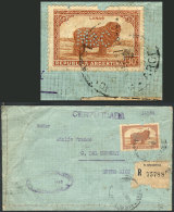 GJ.757, 30c. Sheep With PERFIN "M & C", Franking A Cover Sent From Buenos Aires To Entre Ríos, With... - Other & Unclassified