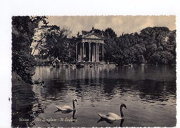 S3401 Cartolina Del Lazio - Roma (rome) Villa Borghese, Piccolo Lago _ NON CIRCOLATA _ Bordo Dentato - Parchi & Giardini