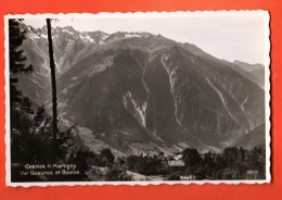 IAR-22  Chemin Sur Martigny Val Gueuroz Et Bovine.   Non Circulé - Martigny