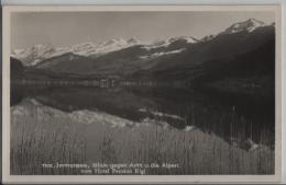 Immensee, Blick Gegen Arth Und Die Alpen Vom Hotel Pension Rigi - Photo: Globetrotter No. 1102 - Arth