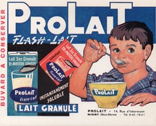 Buvard (16,1  X13)  Lait Granulé PROLAIT  Flash Lait  14 Rue D'Inkermann NIORT 0% De Matiere Grasse - Produits Laitiers