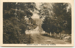 Delcampe - DEP 89 CHARNY DESCENTE COCHARDS PASSAGE A NIVEAU - Charny