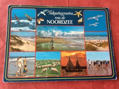 Nederland Vakantiegroeten Van De Noordzee Uit Vlieland 1991 - Vlieland