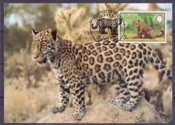 Amerika - Belize - 1983 - **  WWF - Official Maximum Card ** Jaguar - First Day Of Issue 09 Dec 83 - Belice