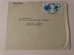 Lettre Envoyée Par Avion  Vers Les U.S.A (Chicago) - Covers & Documents