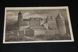 541- Das Heidelberger Schloss - Heidelberg