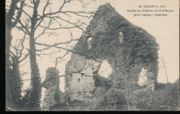 44 -- Oudon -- Ruines Du Chateau De Vieillecour -- Cote Sud - Oudon