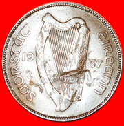 § HEN & CHICKS: IRELAND ★ 1 PENNY 1937 UNCOMMON! LOW START★ NO RESERVE! - Ierland