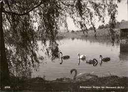 Bettenauer-Weiher Bei Oberuzwil (St.G.) - Uzwil