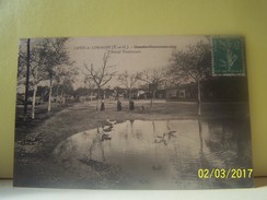 LAVIT-DE-LOMAGNE (TARN ET GARONNE) FOIRAIL TOULOUSAIN. - Lavit