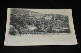 551- Gruss Aus Heidelberg - Heidelberg