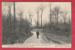 Panorama Du Grand Bois De L'Ermitage Et Des Routes Pour Pecq Et Obigies ,venant Du Mont-de-Trinité - 190?( Voir Verso ) - Tournai