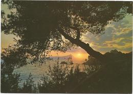 T3271 Maratea (Potenza) - Tramonto Su Santa Venere - Sunset Coucher - Panorama / Viaggiata 1994 - Sonstige & Ohne Zuordnung