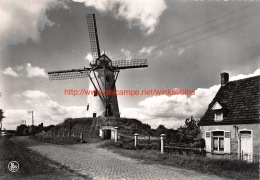 De Molen - Damme - Damme