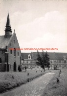 Begijnhof - Dendermonde - Dendermonde