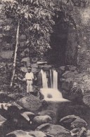 LES Seychelles - Waterfall, Mahé - Seychellen