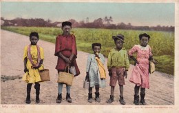 Just Kids. 8283. Black Américain - America