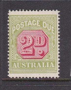 Australia Postage Due Stamps SG D94  1922 Two Pennies Perf 14 Mint - Segnatasse