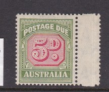 Australia Postage Due Stamps SG D124 1948 Five Pennies Mint - Strafport