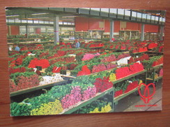 Cutflower Section United Flower Markets Aalsmeer. - Aalsmeer