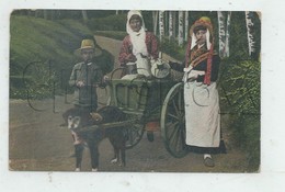 Roermond Ou Ruremonde (Pays-Bas, Limburg) : Hitch Hond Melk Harvest En 1910 PF. - Roermond