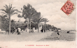 06.....ALPES MARITIMES...CANNES...BD DU MIDI - Cannes