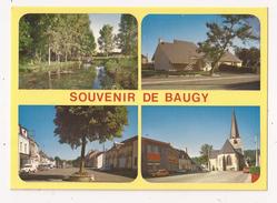 ( 18 ) BAUGY Multivues - Baugy