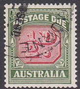 Australia Postage Due Stamps SG D132a 1958 Half Penny No Watermark Used - Port Dû (Taxe)