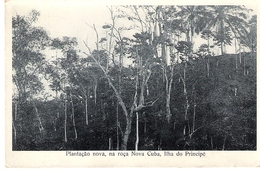 POSTCARD AFRICA SÃO TOME AND PRINCIPE - PRINCIPE ISLAND PLANTATION - Sao Tome And Principe