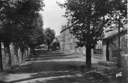 SAINT-DIDIER-EN-VELAY AVENUE DE SAINT-ROCH - Saint Didier En Velay