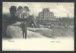 +++ CPA - ANTOING - Château Brebort - Nels  Série 48 N° 62  // - Antoing