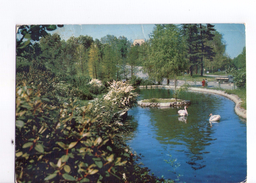 U068 Cartolina Del Piemonte - Torino (Torin) Parco Del Valentino - Parc, Park _   CIRCOLATA - Parken & Tuinen