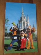 Walt Disney World. Mickey Mouse And His Pals, Goofy And Pluto, Greet Guests Near The Cinderella Castle - Orlando