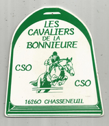 G-I-E, Plaque De Concours , 13.5 X 15 , Les Cavaliers De La Bonnieure , Cso, CHASSENEUIL ,16 ,  Frais Fr : 3.15 € - Other & Unclassified