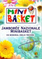 [MD0682] CPM - SANREMO - MINI BASKET - JAMBOREE NAZIONALE - VIII MEMORIAL EMILIO TRICERRI - CON ANNULLO 13.7.2001 - NV - Basketball