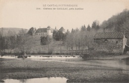 15 - VEZAC - Château De Caillac, Près Aurillac (impeccable) - Arpajon Sur Cere