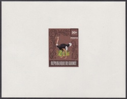 Guinea 1962 20fr, Wildlife, Bird, Ostrich, Faune, Oiseau, Autruche, Unissued Brown Deluxe Proof, Epreuve - Struisvogels