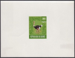 Guinea 1962 20fr, Wildlife, Bird, Ostrich, Faune, Oiseau, Autruche, Unissued Green Deluxe Proof, Epreuve - Struzzi