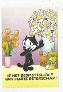 G-I-E , Cp , BD , Bandes Dessinées ,FELIX THE CAT Productions Inc N° 5902810 , FELIX LE CHAT , 1986 - Stripverhalen