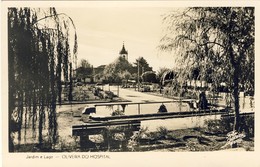 OLIVEIRA DO HOSPITAL - Jardim E Lago - PORTUGAL - Coimbra