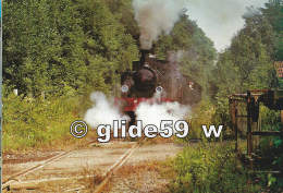 Le Petit Train De La Vallée De La Doller - Ligne Cernay-Sentheim (Haut-Rhin) - Dans La Forêt… - N° 04 - Cernay